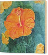 Orange Hibiscus Wood Print