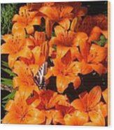 Orange Lilies Wood Print