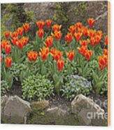 Orange Tulips And Forget Me Nots In Spring Wood Print