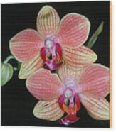 Orchid 4 Wood Print