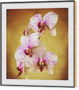 Orchid Cascade Square Wood Print