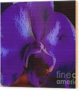 Orchid Wood Print