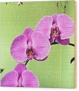 Orchid Corner Wood Print