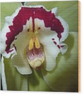 Orchid Dream Wood Print