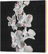 Orchid Flowers On Black Wood Print