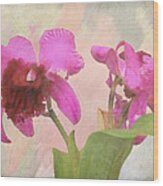 Orchid In Hot Pink Wood Print