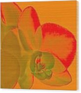 Orchid Light Wood Print