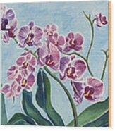 Orchids Wood Print