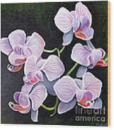 Orchids Ii Wood Print