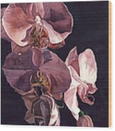 Orchids In Pink Wood Print