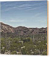 Organ Pipe Cactus National Monument Wood Print