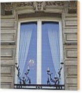 Ornate Window In Paris Wood Print