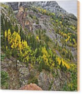 Ouray Canyon Fall Color Wood Print