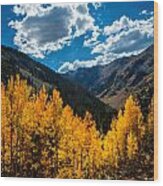 Ouray Gold Wood Print
