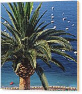 Overhead Of Spiaggia Grande, Palm Tree Wood Print