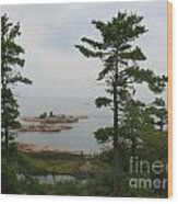 Overlooking Georgian Bay Wood Print