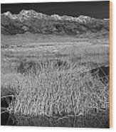 Owens Lake And The High Sierra Wood Print