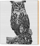 Owl 1 Wood Print