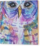 Owl-barred Owl-rainbow-close Crop Wood Print