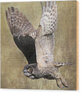 Owl In Flight Wood Print