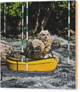 Owlets In A Canoe Wood Print