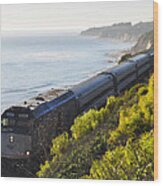 Pacific Surfliner Along The Central Coast Wood Print