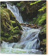 Packer Falls Vert 1 Wood Print