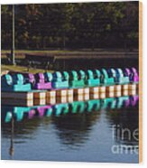 Paddle Boats Wood Print