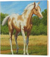 Paint Foal Wood Print