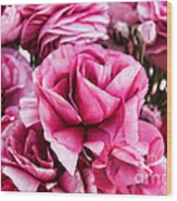 Paint Me Pink Ranunculus Flowers By Diana Sainz Wood Print