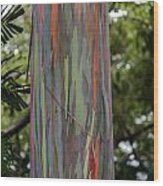 Painted Eucalyptus Tree Wood Print
