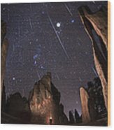 Painting The Needles Under The Geminids Meteor Shower Wood Print