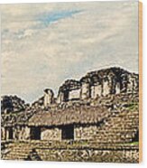 Palenque Panorama Unframed Wood Print