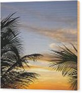 Palm Leaves And Tropical Sunset Wood Print