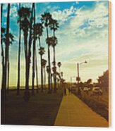 Palm Tree At Sunset On California - Usa Wood Print