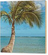 Palm Tree At The Shore 1 Wood Print