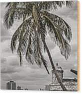 Palm Tree In Havana Bay Wood Print