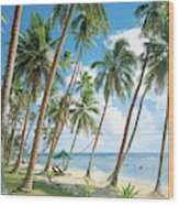 Palm Tree Near Beach Wood Print