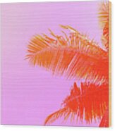 Palm Tree On Sky Background. Palm Leaf Wood Print