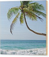 Palm Tree On White Sand Beach Wood Print