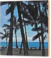 Palm Tree Silhouettes Wood Print