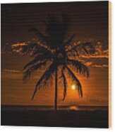 Palm Tree Sunrise Wood Print