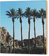 Palm Trees And Mountains Wood Print