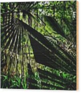 Palmetto Swamp Wood Print