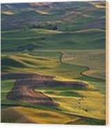 Palouse Shadows Wood Print