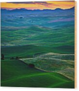 Palouse Velvet Wood Print