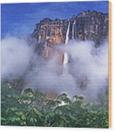 Panorama Angel Falls Canaima National Park Veneziuela Wood Print
