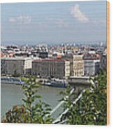 Panorama Of Budapest And Danube River Wood Print