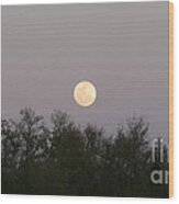 Panoramic New Orleans Moon Rising Wood Print