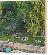 Panoramic Of The Seine River Beautiful Day Wood Print